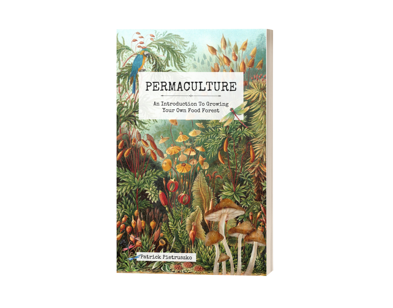 Permaculture ebook
