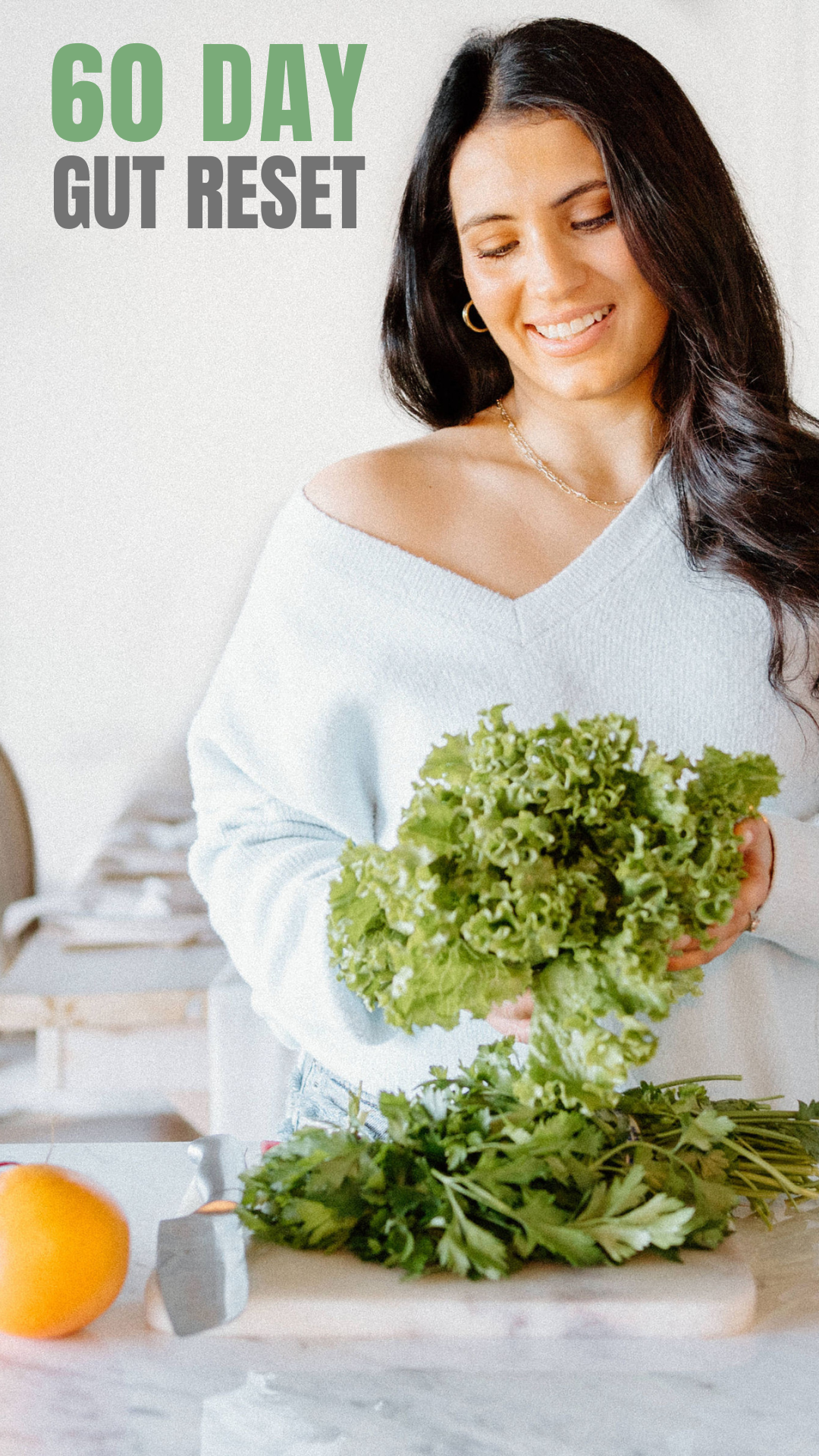 60 Day Gut Reset Program